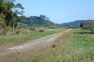 PISTA PARA AVIES DE PULVERIZAO-FOTO:ISMAR FRANCISCO RIBE  - ANA DIAS - SP