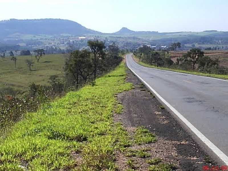 ADOLFO-SP-VISTA DO MORRO DO CUSCUZEIRO  PARTIR DA RODOVIA-FOTO:MARCO AURLIO ESPARZA - ANALNDIA - SP