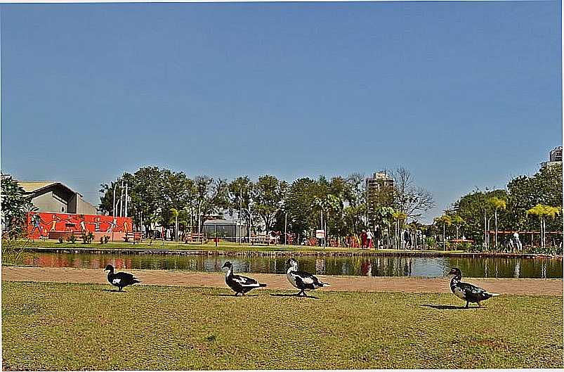 ANPOLIS-GO-PARQUE AMBIENTAL IPIRANGA-FOTO:AROLLDO COSTA OLIVEIRA  - ANPOLIS - GO