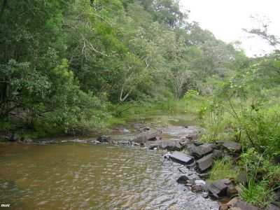  ANGATUBA, POR BRUNO APUS CEPHEUS NEGG - ANGATUBA - SP