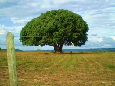 PAISAGENS DE ANGATUBA, POR BRUNO APUS CEPHEUS CAMARGO - ANGATUBA - SP