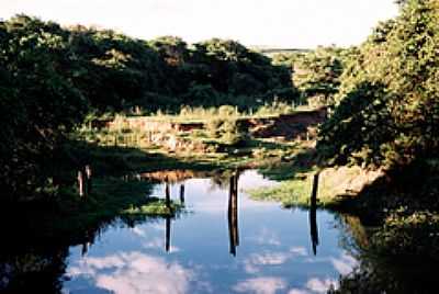 RIO DA ONA-FOTO:ZEKINHA - APARECIDA DE MONTE ALTO - SP