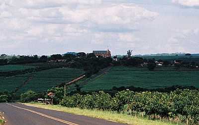 VISTA DA CIDADE-FOTO:ZEKINHA - APARECIDA DE MONTE ALTO - SP