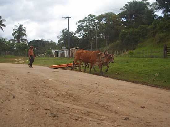 O CARREADOR EM OURICANA-FOTO:ABIAS FRANCISCO DE S - OURICANA - BA