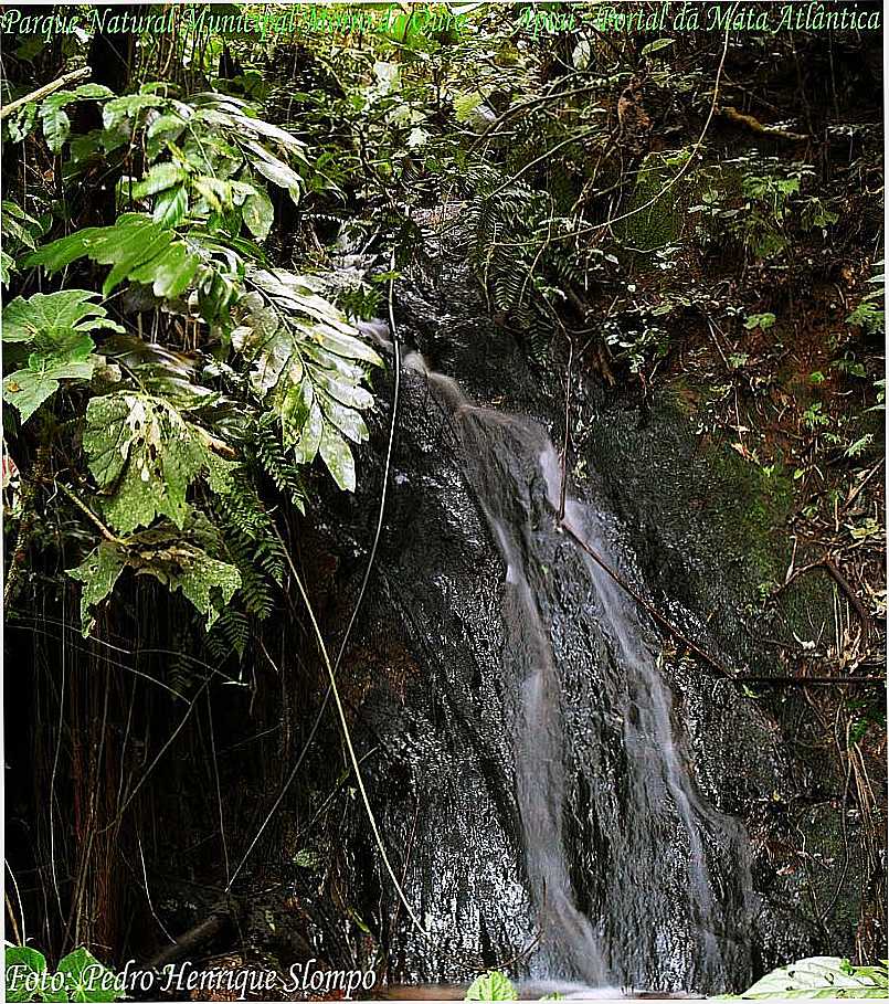 APIA-SP-CACHOEIRA PEDRA AMARELA NO MORRO DO OURO-FOTO:PEDRO HENRIQUE SLOMPO - APIA - SP