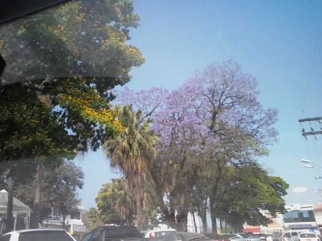 CENTRO DE ARAARIGUAMA, POR TEREZINHA LOPES - ARAARIGUAMA - SP