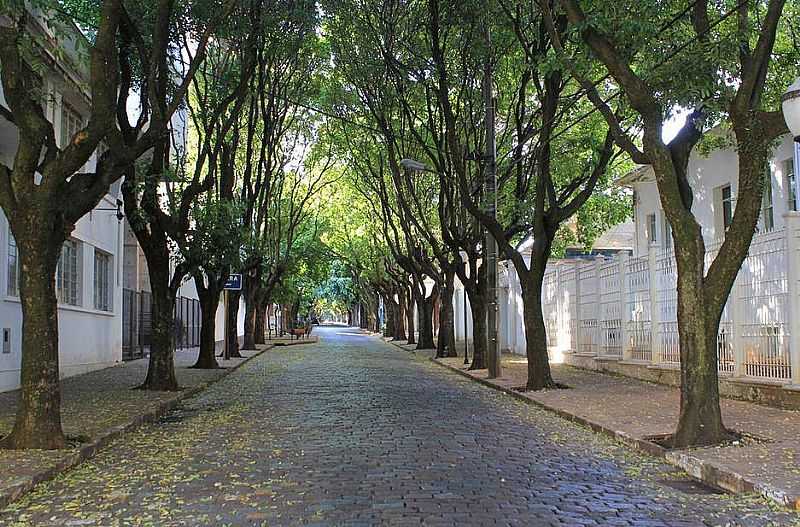 BULEVAR DOS OITIS - RUA VOLUNTRIOS DA PTRIA - RUA 5
FOTO DE CLRISTON MARTINELO  - ARARAQUARA - SP