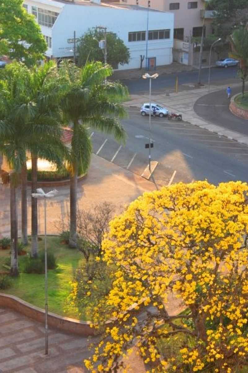 VISTA PARCIAL DA PRAA PEDRO DE TOLEDO - AO FUNDO SESA SERVIO ESPECIAL DE SADE
FOTO DE BORTOLOTI
MRCIO BORTOLOTI - ARARAQUARA - SP