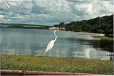 GARA NO CLUBE NUTICO ARARAQUARA
POR PATYPV-PATRICIA PECEGUINI VIANA - ARARAQUARA - SP