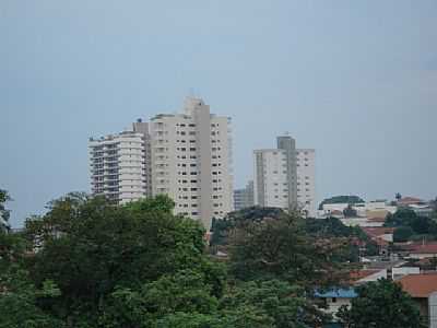 FOTO LUIZ - ARARAS - SP