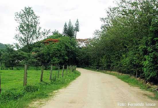 ESTRADA PARA A USINA EM ARCADAS-FOTO:FERNANDO TASCA - ARCADAS - SP