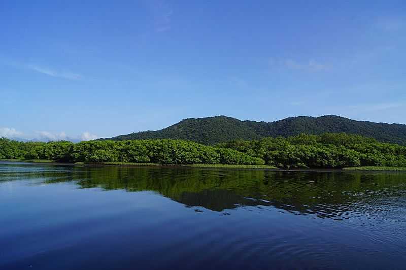 ARIRI-SP-CANAL DO ARIRI-FOTO:ANDRE PIMENTEL  - ARIRI - SP