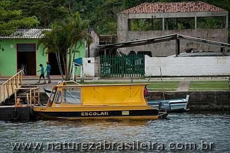 ARIRI-SP-LANCHA PARA TRANSPORTE ESCOLAR-FOTO:WWW.NATUREZABRASILEIRA.COM.BR - ARIRI - SP
