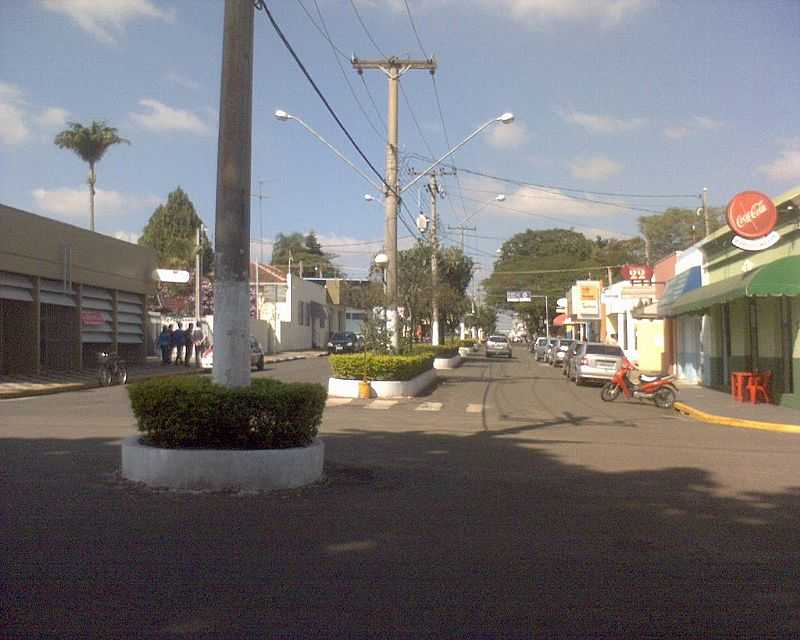 ARTUR NOGUEIRA-SP-AVENIDA DR.FERNANDO ARENS-FOTO:CHAPLIN40 - ARTUR NOGUEIRA - SP