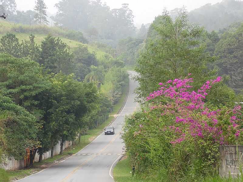 ARUJ-SP-ESTRADA DE ARUJ-FOTO:EYCI BORGES - ARUJ - SP