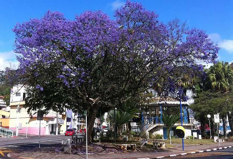 ARUJ-SP-PRAA BENEDITO FERREIRA BARBOSA-FOTO:NELSON KIMURA - ARUJ - SP