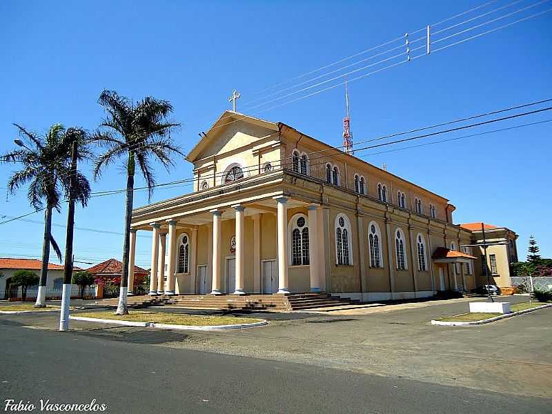 BASLICA DE SO VICENTE DE PAULO - ASSIS/SP - POR FABIO VASCONCELOS  - ASSIS - SP