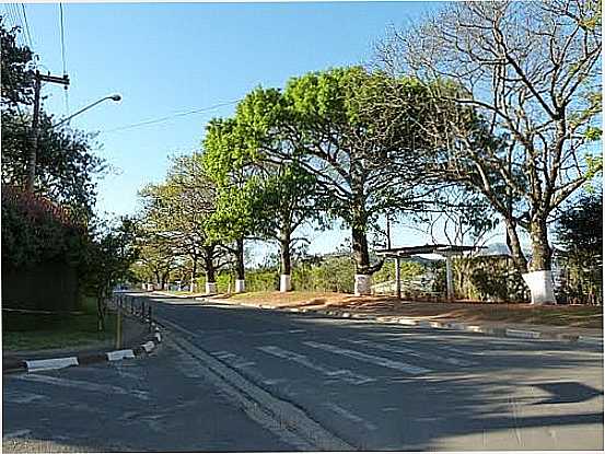 AVENIDA DO PARQUE RESIDENCIAL EM ATIBAIA-FOTO:PAULO TARGINO MOREIR - ATIBAIA - SP