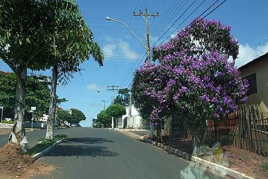 QUARESMEIRA NA AVENIDA DE AVA-FOTO:MINDUIM - AVA - SP