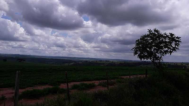 IMAGENS DA LOCALIDADE DE AVENCAS DISTRITO DE MARLIA - SP - AVENCAS - SP