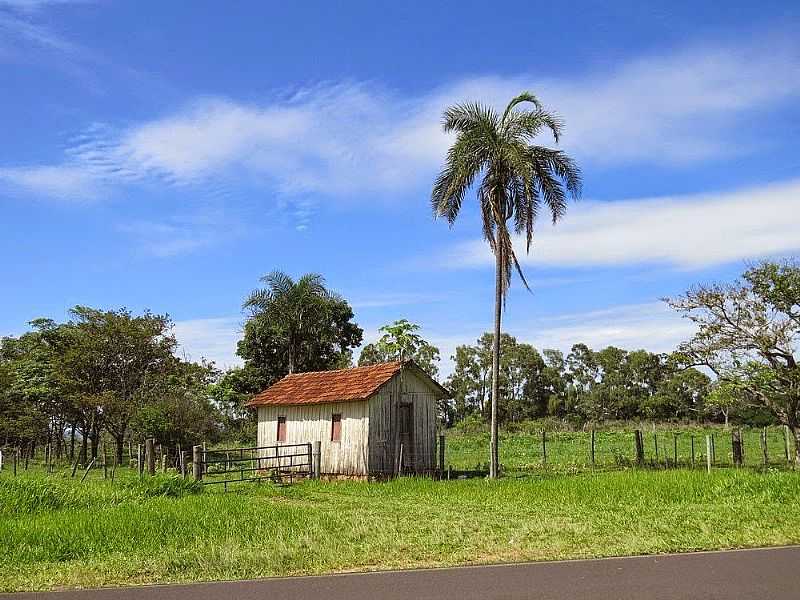 AVENCAS-SP-CASINHA DE MADEIRA EM REA RURAL-FOTO:RALPH MENNUCCI GIESBRECHT - AVENCAS - SP