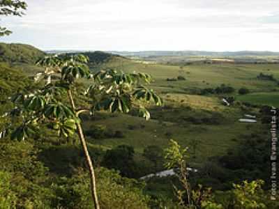 FAZENDA FLOR ROXA-FOTO:IVAN EVANGELISTA JR  - AVENCAS - SP