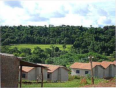 BARO DE ANTONINA-FOTO:JAQMACIEL  - BARO DE ANTONINA - SP