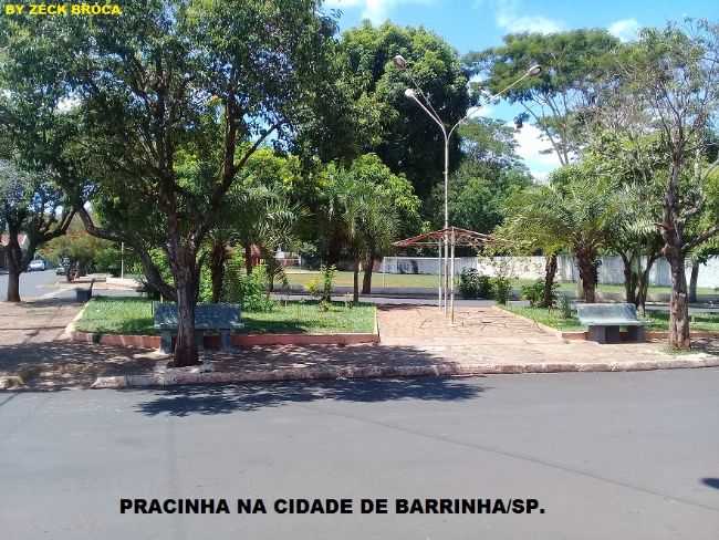 PRACINHA DA CIDADE DE BARRINHA/SP, POR ZCK BROCA - BARRINHA - SP