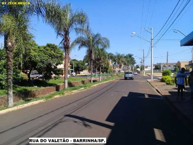 RUA DO VALETO - BARRINHA/SP., POR ZCK BROCA - BARRINHA - SP