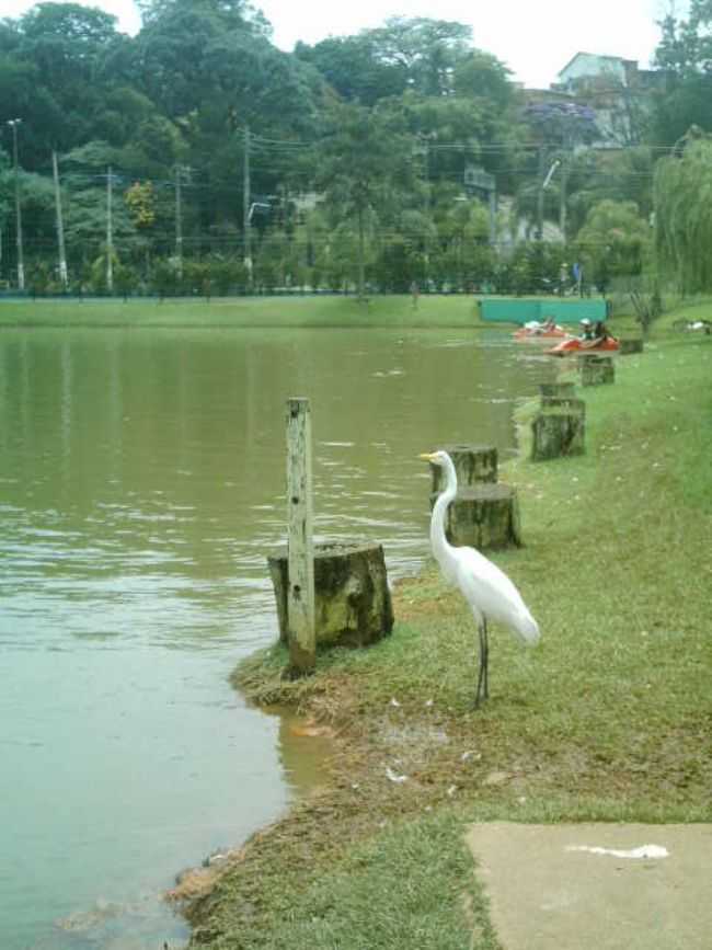 BARUERI - PARQUE MUNICIPAL DOM JOS - GARA, POR ANTONIO CCERO DA SILVA - GUIA - BARUERI - SP