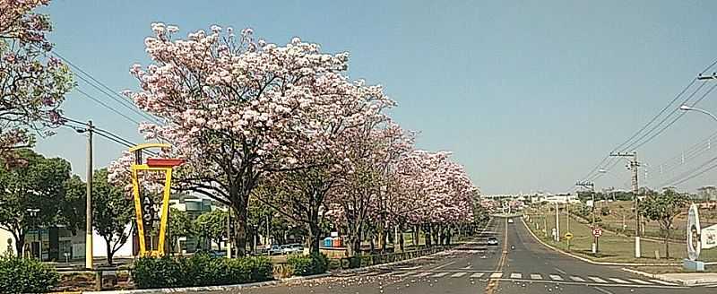 IMAGENS DA CIDADE DE BASTOS - SP - BASTOS - SP