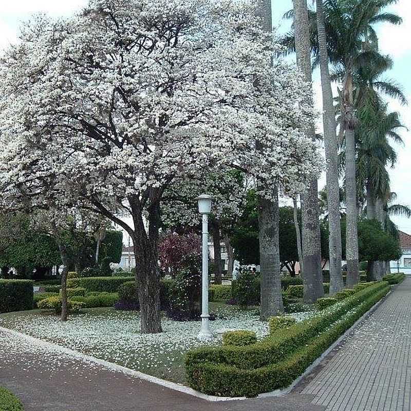 IMAGENS DA CIDADE DE BATATAIS - SP - BATATAIS - SP