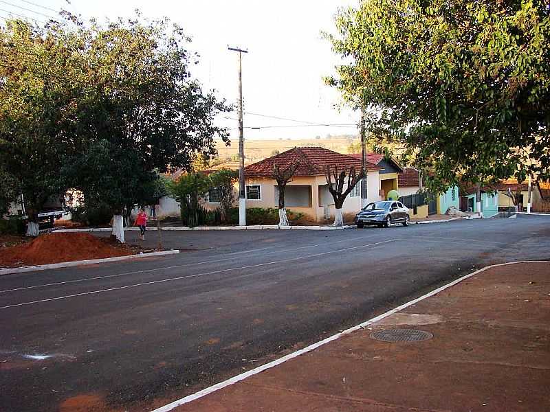 BATISTA BOTELHO-SP-AVENIDA DO BAIRRO-FOTO:CARLOS.KARDOSO - BATISTA BOTELHO - SP