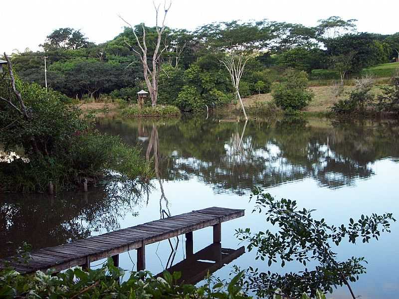 BAURU-SP-LAGO DO ZOOLGICO-FOTO:MARCEL LA GHOST - BAURU - SP