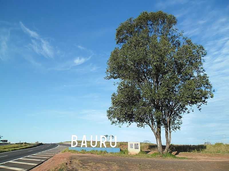 BAURU-SP-LINDA RVORE NA ENTRADA DA CIDADE-FOTO:EDUARDO BAURU - BAURU - SP