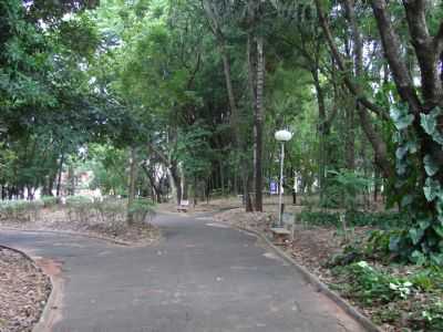 BAURU, SP - BOSQUE CENTRAL, POR ROBERTO GASPARINNI - BAURU - SP