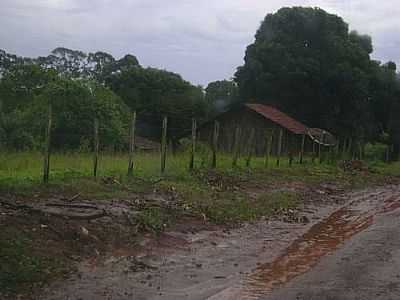 BELA FLORESTA-FOTO:SILVIO SALES  - BELA FLORESTA - SP