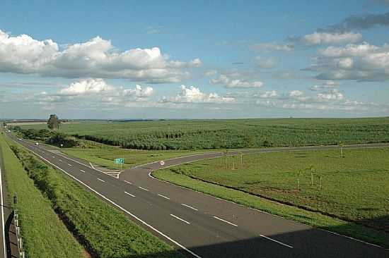 BENTO DE ABREU-SP-RODOVIA MARECHAL RONDON-FOTO:NILTON CEZAR - BENTO DE ABREU - SP