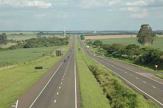 BENTO DE ABREU-SP-RODOVIA MARECHAL RONDON-FOTO:NILTON CEZAR - BENTO DE ABREU - SP