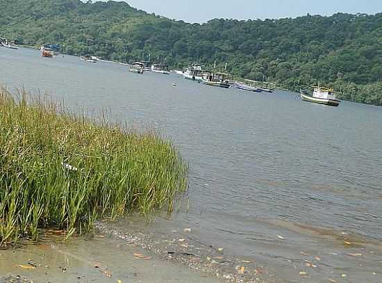 BERTIOGA FOTO RENATO
SAVIOLI - BERTIOGA - SP