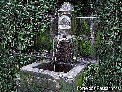 FONTE DOS PASSARINHOS - BIRITIBA-MIRIM - SP