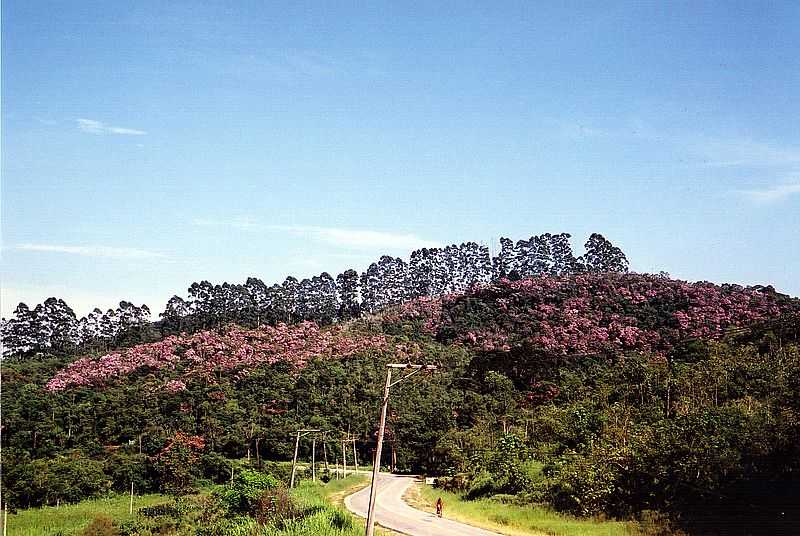 BIRITIBA-MIRIM - FOTO PREFEITURA MUNICIPAL - BIRITIBA-MIRIM - SP