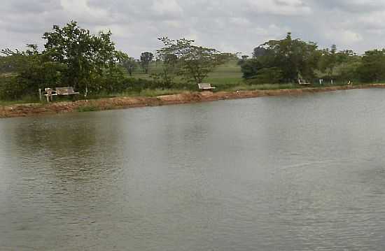 BORBOREMA-SP-TANQUE PARA REPRODUO DE PEIXES-FOTO:BUI IBITINGA - BORBOREMA - SP