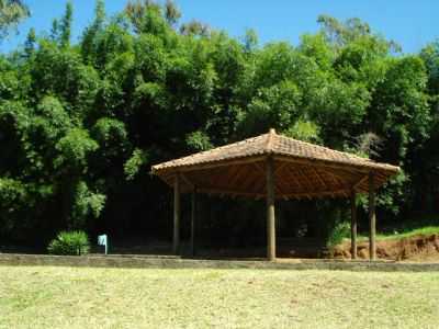 PARQUE MUNICIPAL, POR ALICE MATILDE APOSTOLO - BOTUCATU - SP