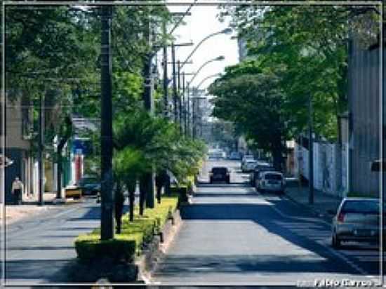 AVENIDA SANTANA-FOTO:FBIO BARROS - BOTUCATU - SP