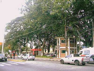 PRAA-FOTO:JOO PAULO CHAGAS  - BRS CUBAS - SP