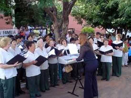 CORAL MUNICIPAL - BRASITNIA - SP