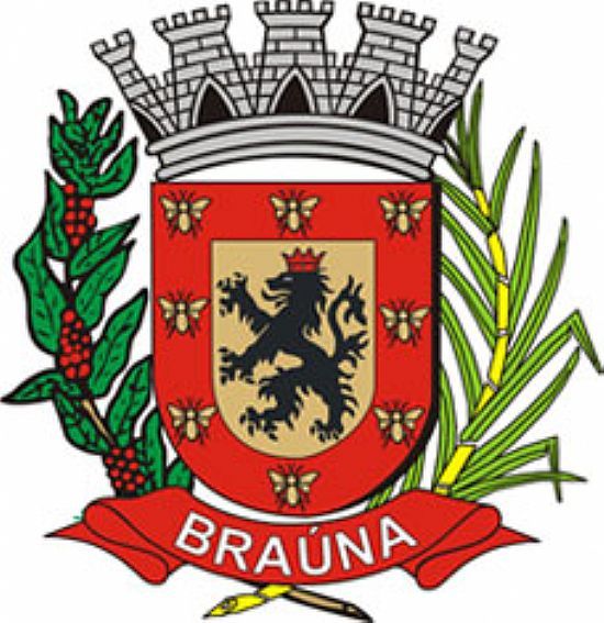 BRASO DO MUNICIPIO - BRANA - SP
