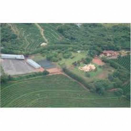 FAZENDA EM BREJO ALEGRE - BREJO ALEGRE - SP