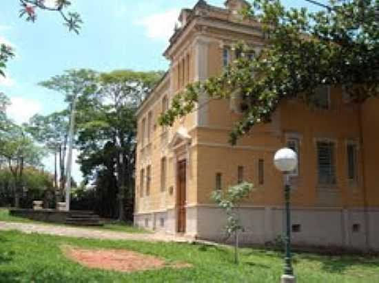 PAO MUNICIPAL-FOTO:LUZIACRUZFRATA - BROTAS - SP